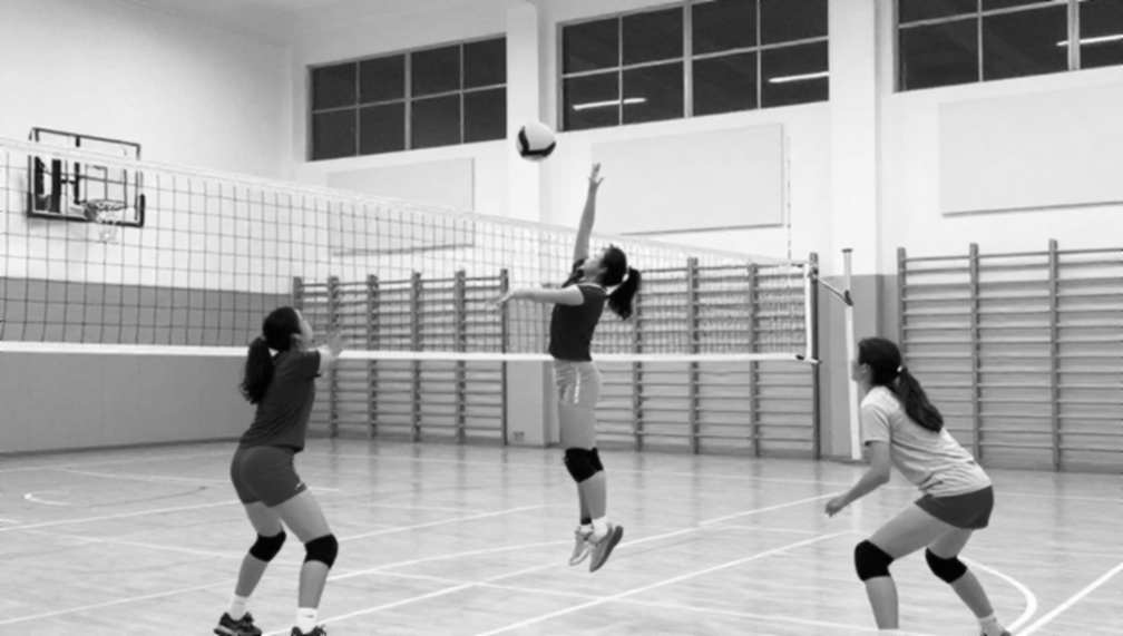 Ba mươi năm MOP bóng chuyền nữ NCAA: Bản đồ quyền lực ẩn sau những cái tên